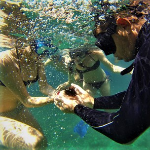 Snorkeling-Alghero